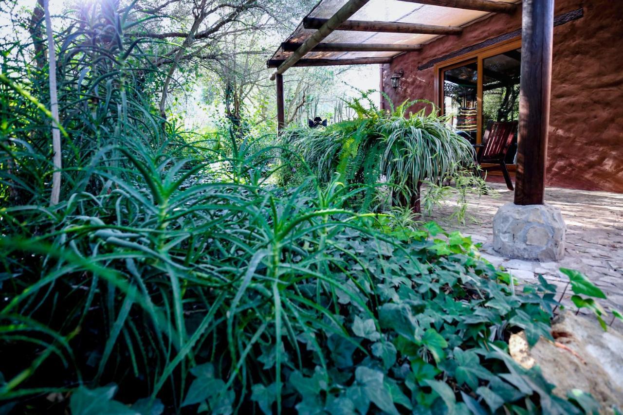 Tikal Boungalows Hotel Malcocinado  Buitenkant foto