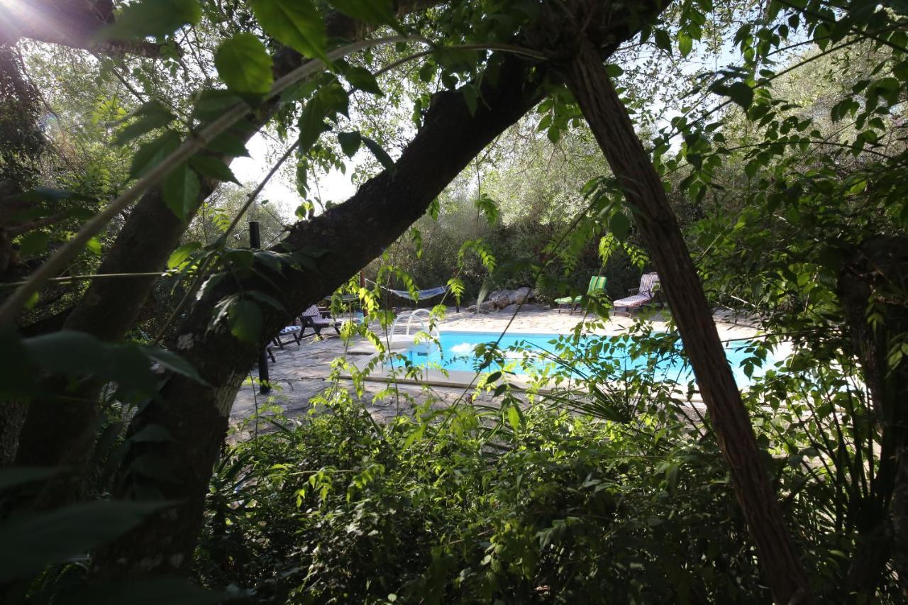 Tikal Boungalows Hotel Malcocinado  Buitenkant foto